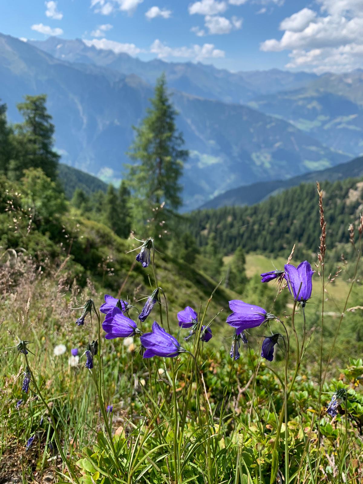 Kind mit frisch gepflückten Äpfeln – Freude an der Natur