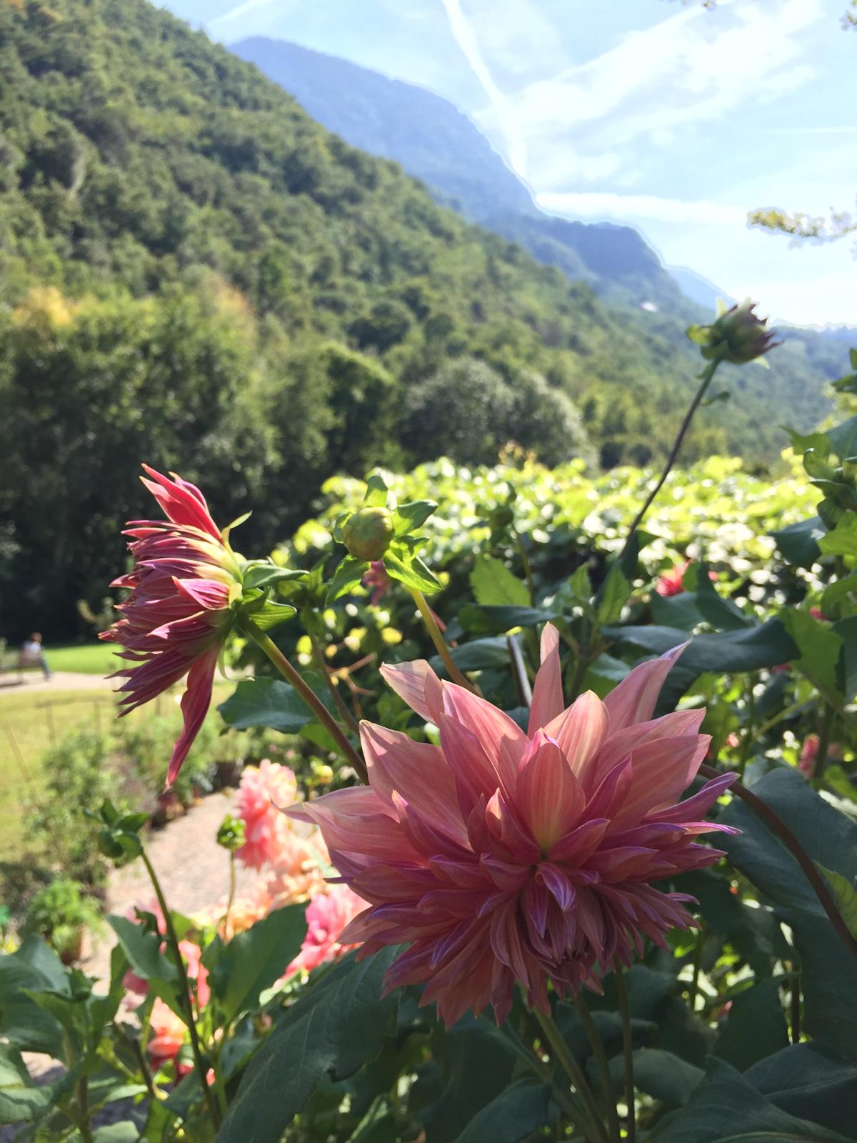 Naturlandschaft im Chiemgau