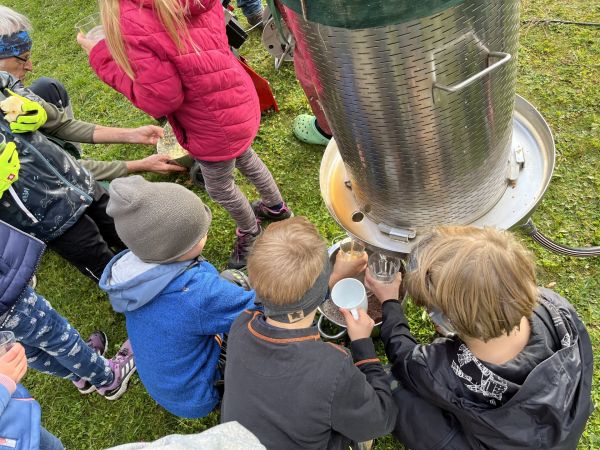 Apfelsaftpressen – frische Äpfel werden gepresst