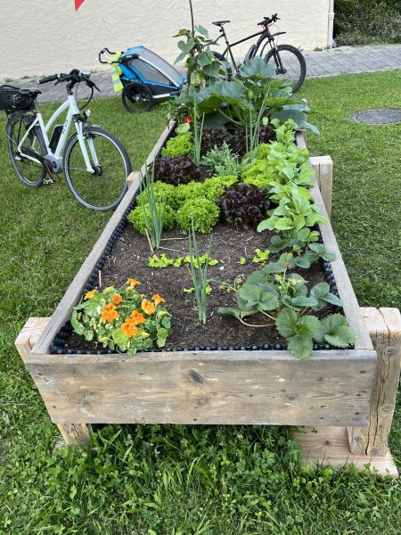 Schulprojekt – Kinder lernen Gartenarbeit