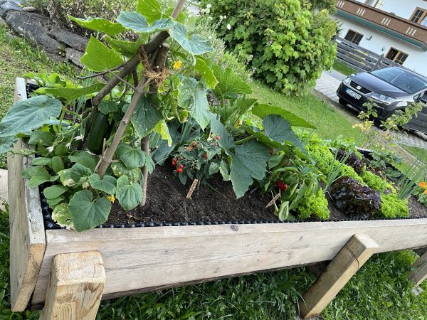 Ferienprogramm – Kinder arbeiten im Garten